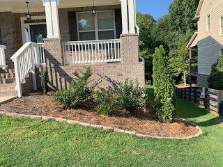 Simple Landscaping Tips for Beginners