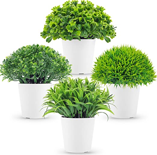 Current Amazon Household Decor Deals!