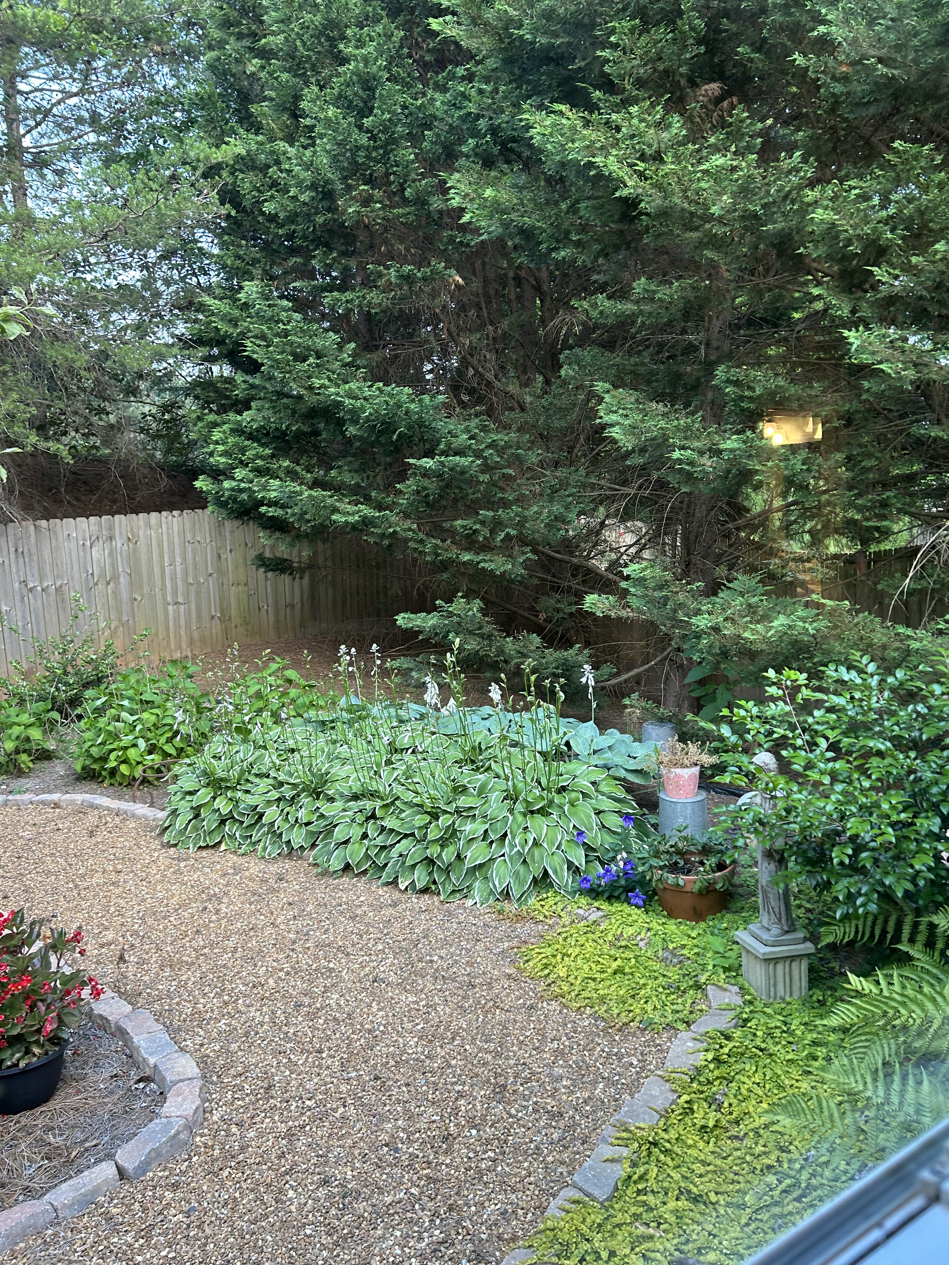 DIY Backyard Landscaping for a 65+ Household