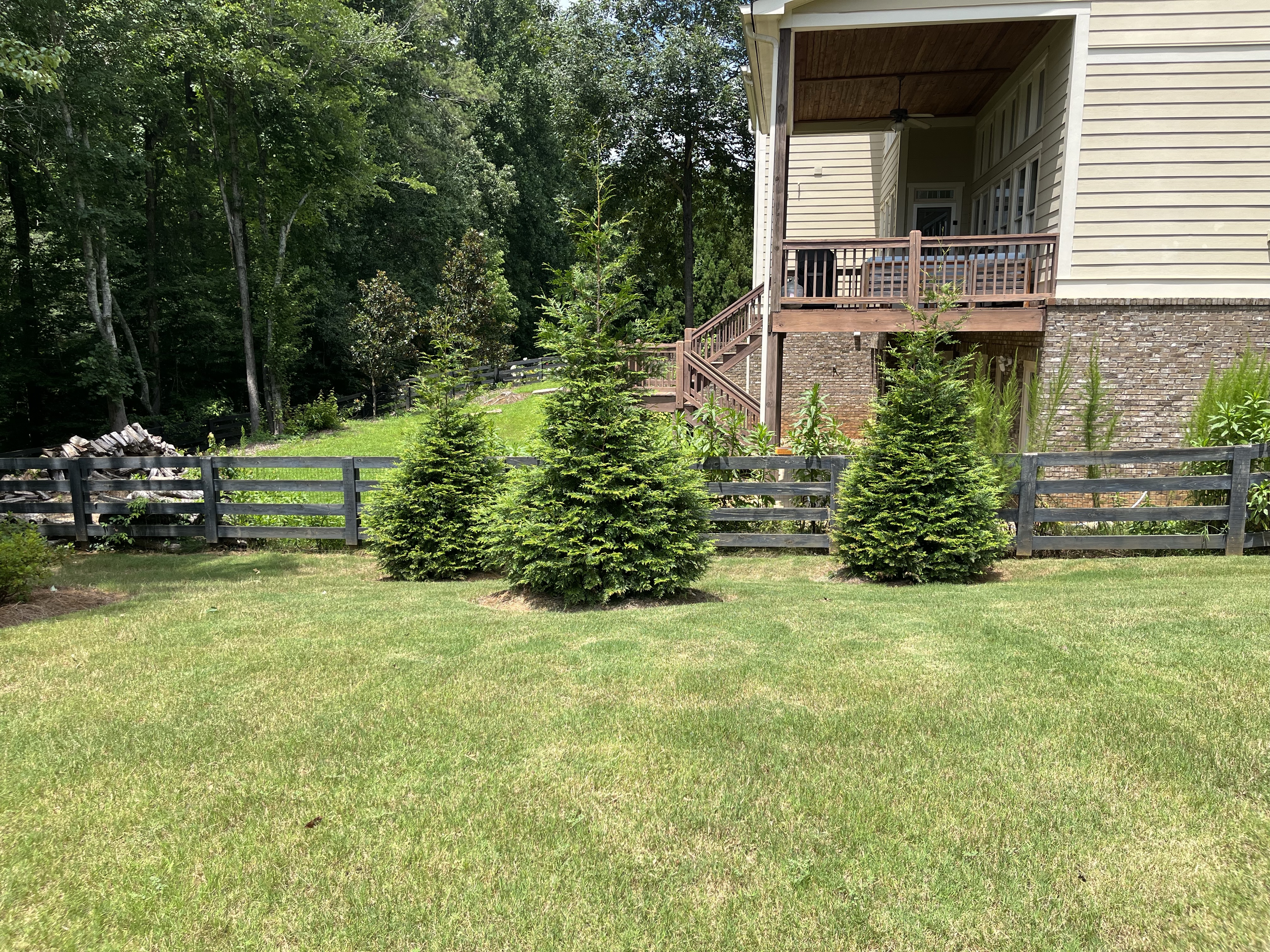 Backyard Landscaping- Green Giants 2 Year Update!