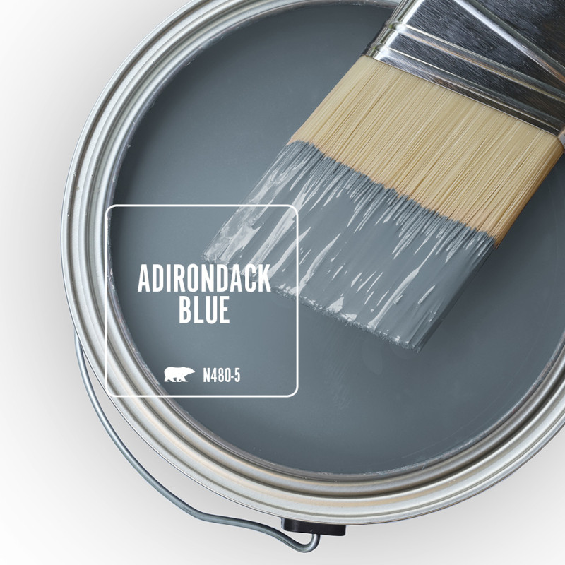 Behr Adirondack Blue N480-5 Paint