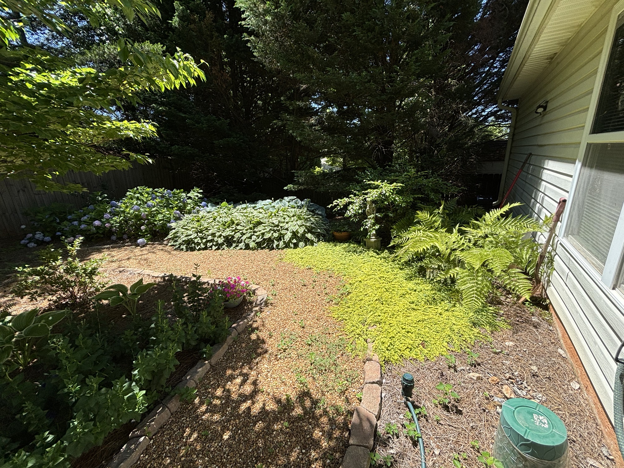 DIY Backyard Landscaping for a 65+ Household: Update